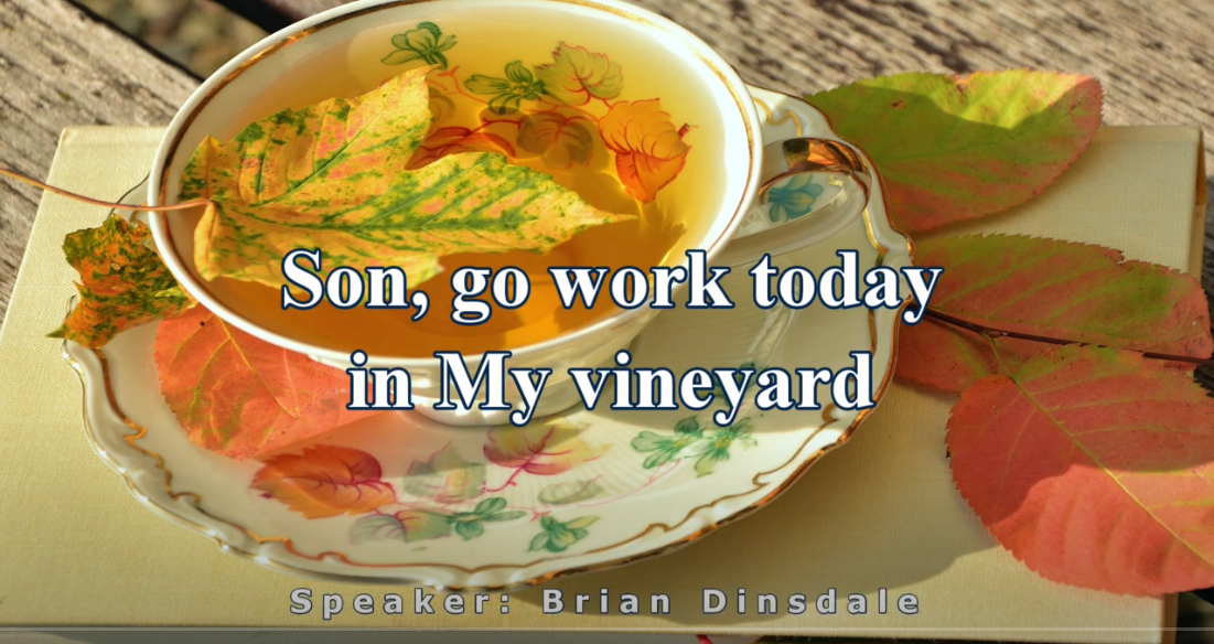 Go To Work In My Vineyard BD